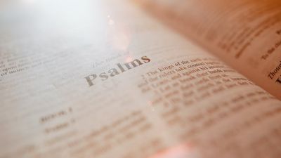 Embracing the Psalms: A Journey Through Timeless Prayer and Spiritual Connection